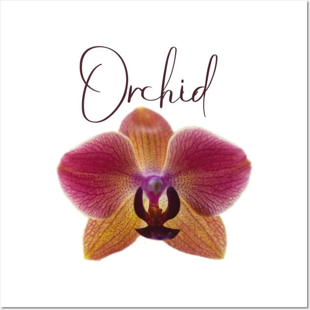 Pink and Yellow Orchid with Red Veins and Text Wall Art by ArtMorfic